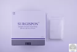 Surgispon Regular 80 mm x 50 mm x 10 mm