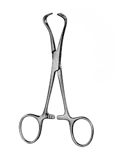 Lorna kendőcsipesz, sokfogú 11 cm