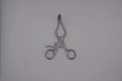 Wullstein sebterpesztő 13 cm