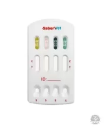 Gyorsteszt antigén kombinált 10 db/doboz