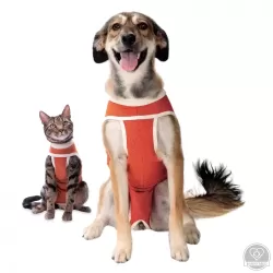 Klasszik CopperBody ruha, méret: 3