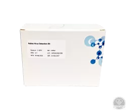 PCR teszt - veszettségvírus – 8 teszt/doboz