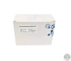 PCR teszt - hemotropikus mycoplasmák kimutatására – 8 teszt/doboz