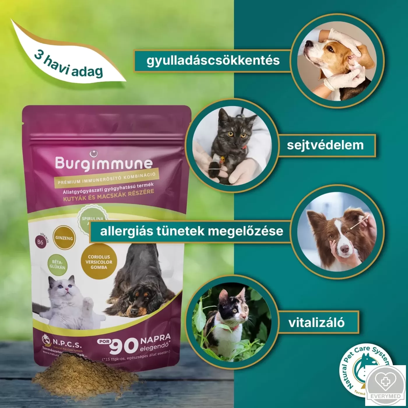 Burgimmune prémium immunerősítő kombináció (por, 135 g - 90 napra)