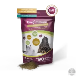 Burgimmune prémium immunerősítő kombináció (por, 135 g - 90 napra)