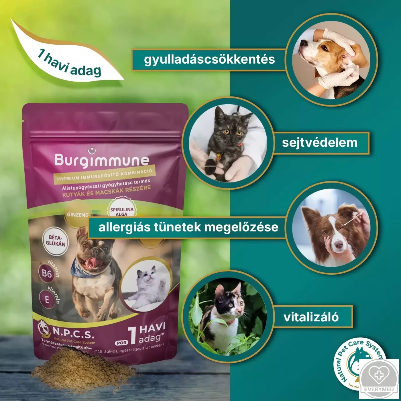 Burgimmune prémium immunerősítő kombináció (por, 45 g - havi adag)