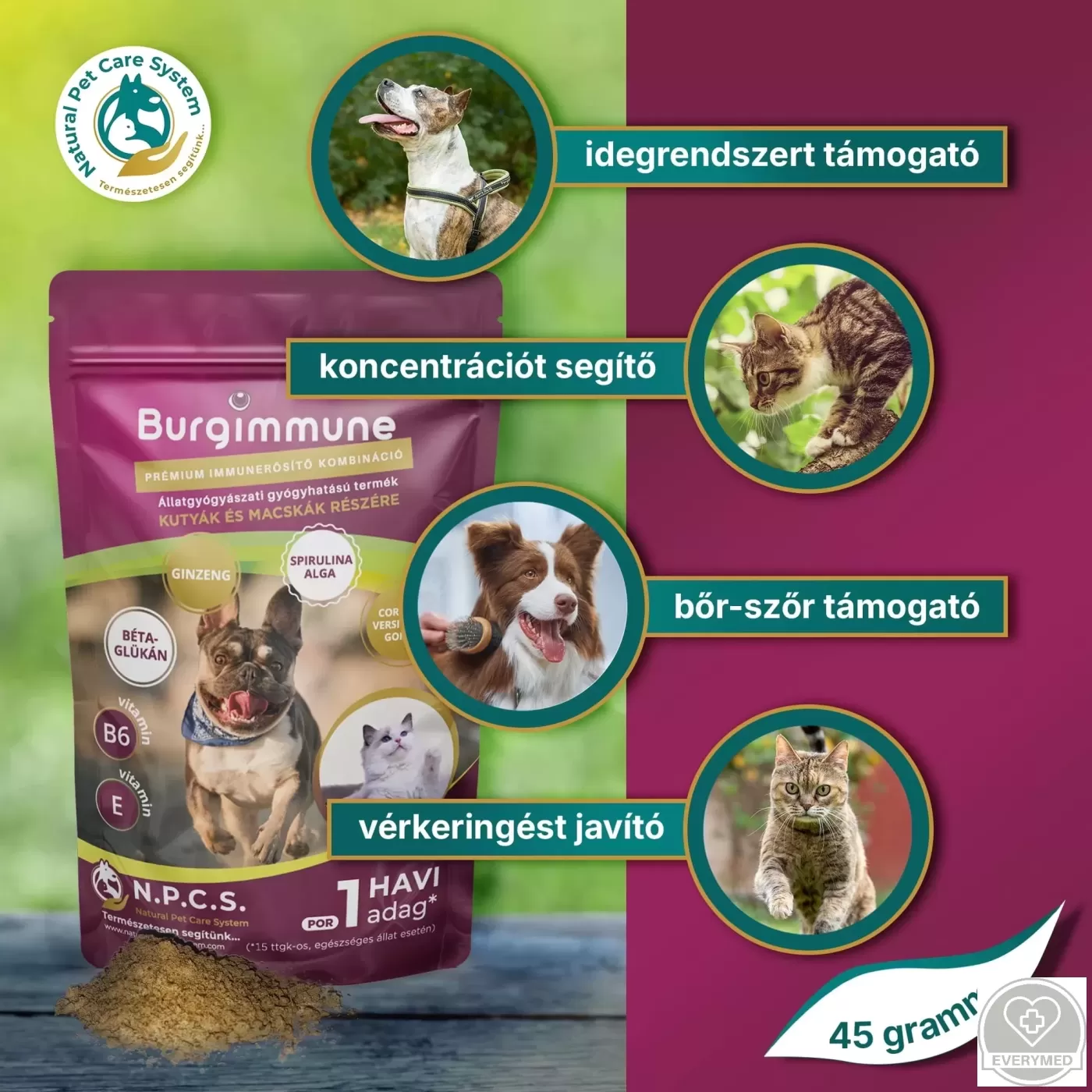 Burgimmune prémium immunerősítő kombináció (por, 45 g - havi adag)