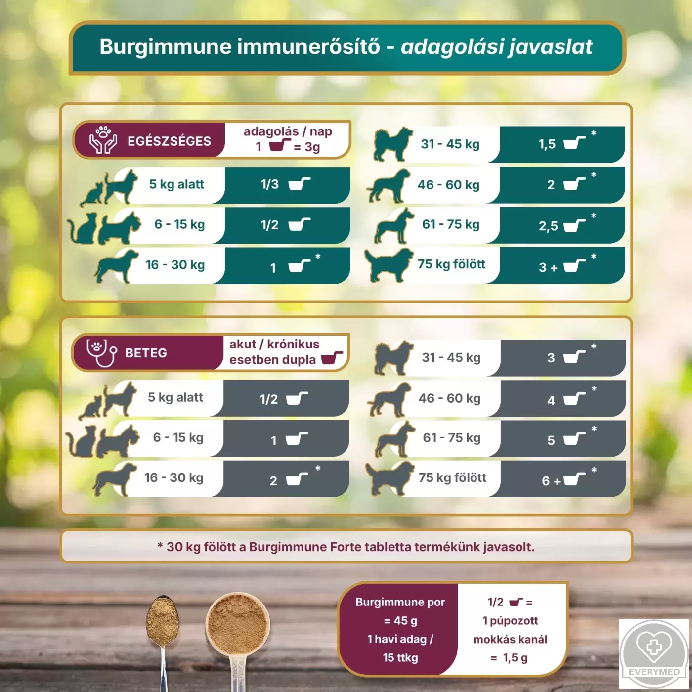 Burgimmune prémium immunerősítő kombináció (por, 45 g - havi adag)