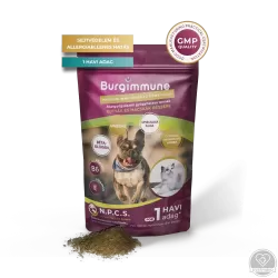 Burgimmune prémium immunerősítő kombináció (por, 45 g - havi adag)
