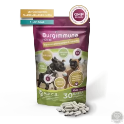 Burgimmune forte prémium immunerősítő (tabletta, 30 db-os - 30 napra)